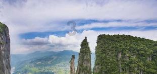 创作猫