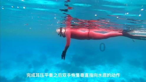 玄凤鹦鹉不小心吃了点巧克力怎么办？游戏画面